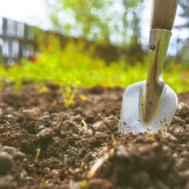 best garden tools