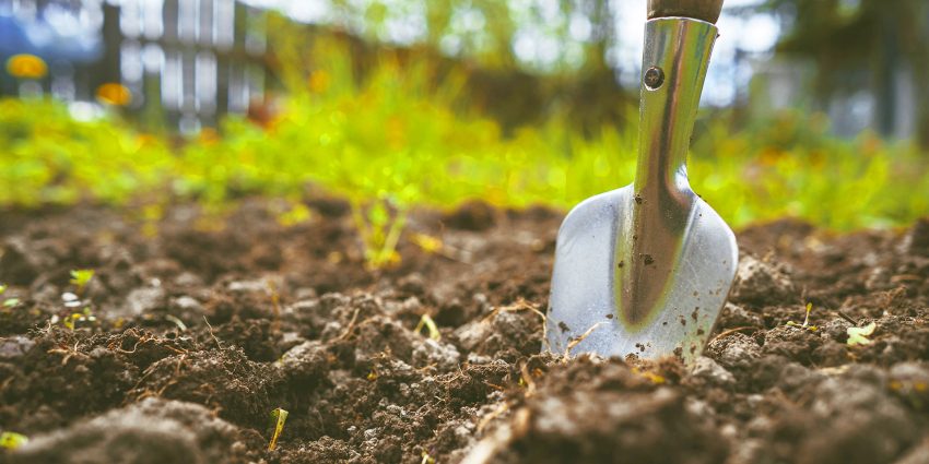 best garden tools